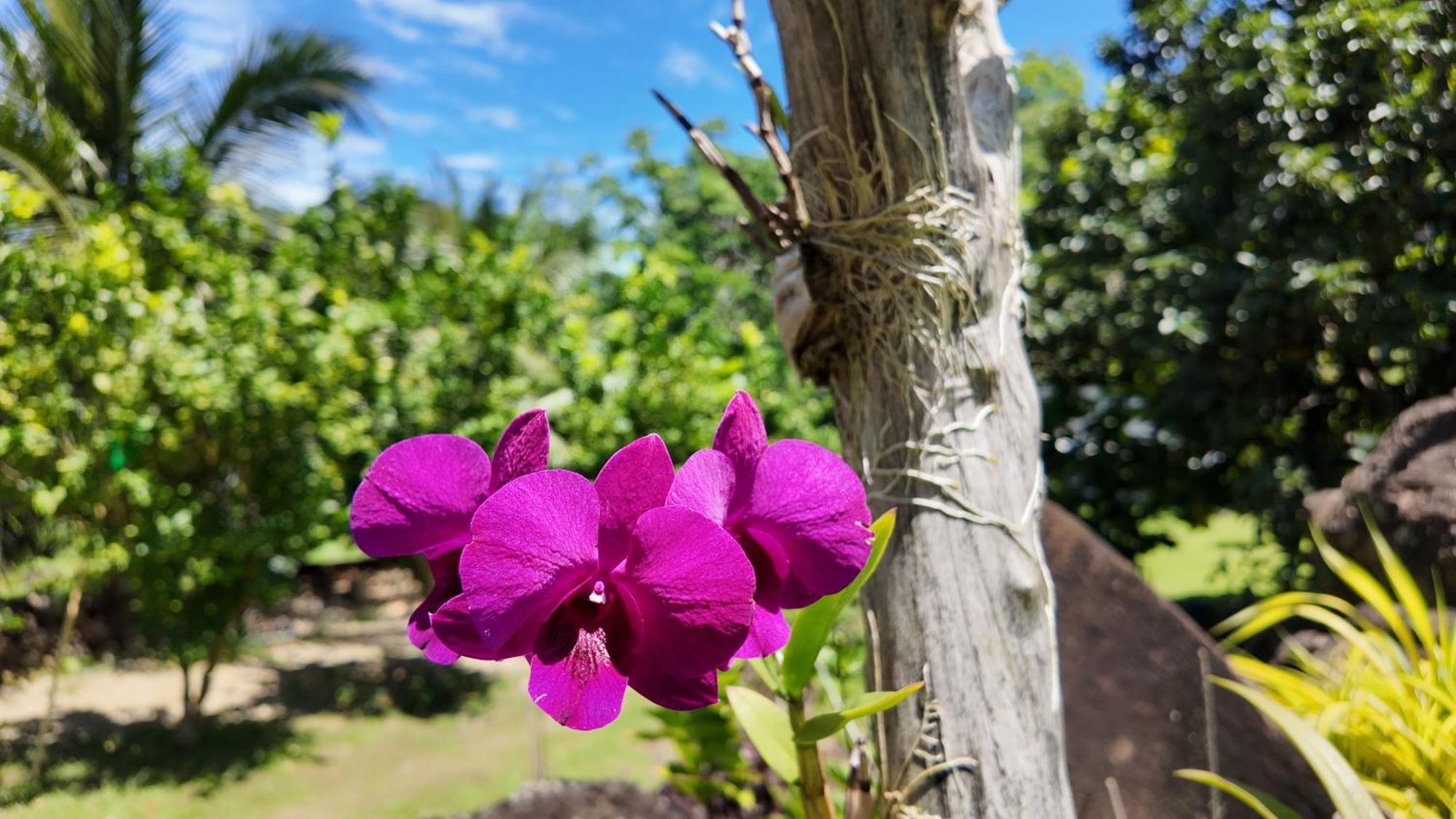 Tongatok Cliff Resort Mambajao Eksteriør billede