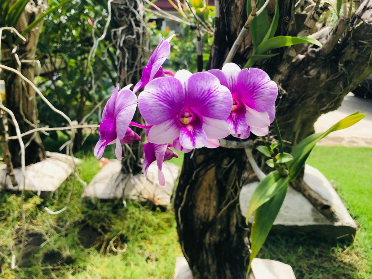 Tongatok Cliff Resort Mambajao Eksteriør billede